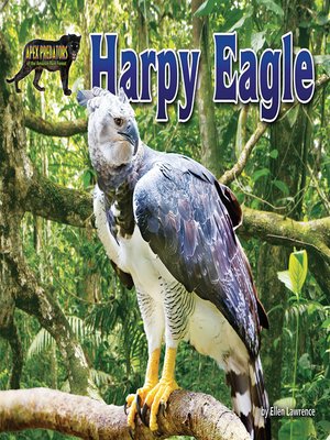 cover image of Harpy Eagle